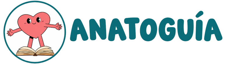 Anatoguia